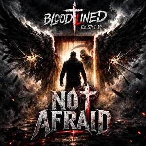 Not Afraid cover artwork